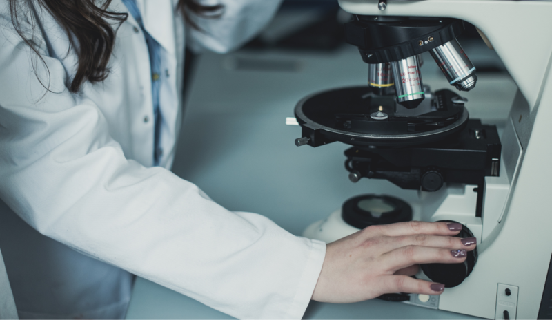 V. Pašukonienė apie bioetiką: „Būtina rasti etiškus bendravimo būdus su gamta“